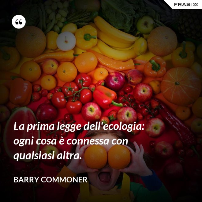 La prima legge dell'ecologia: ogni cosa è connessa con qualsiasi altra. - Barry Commoner