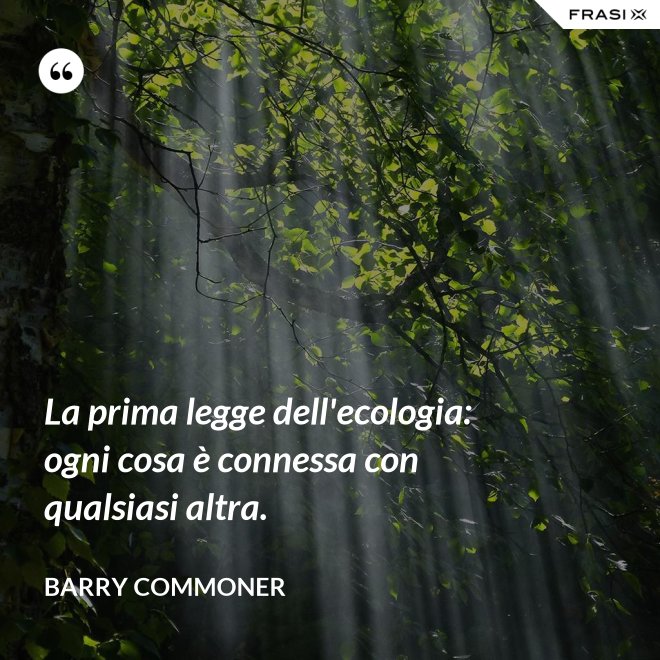 La prima legge dell'ecologia: ogni cosa è connessa con qualsiasi altra. - Barry Commoner