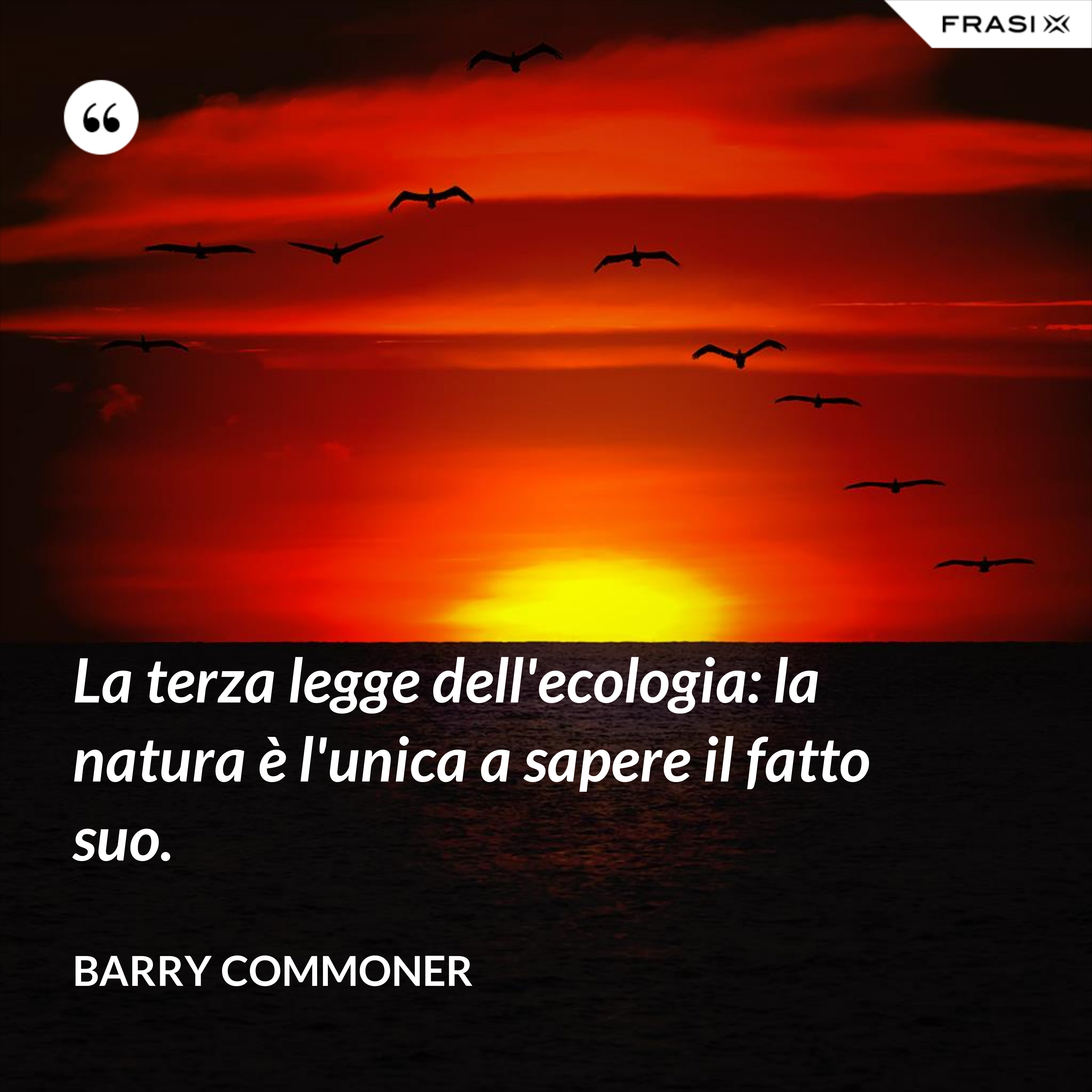 La terza legge dell'ecologia: la natura è l'unica a sapere il fatto suo. - Barry Commoner