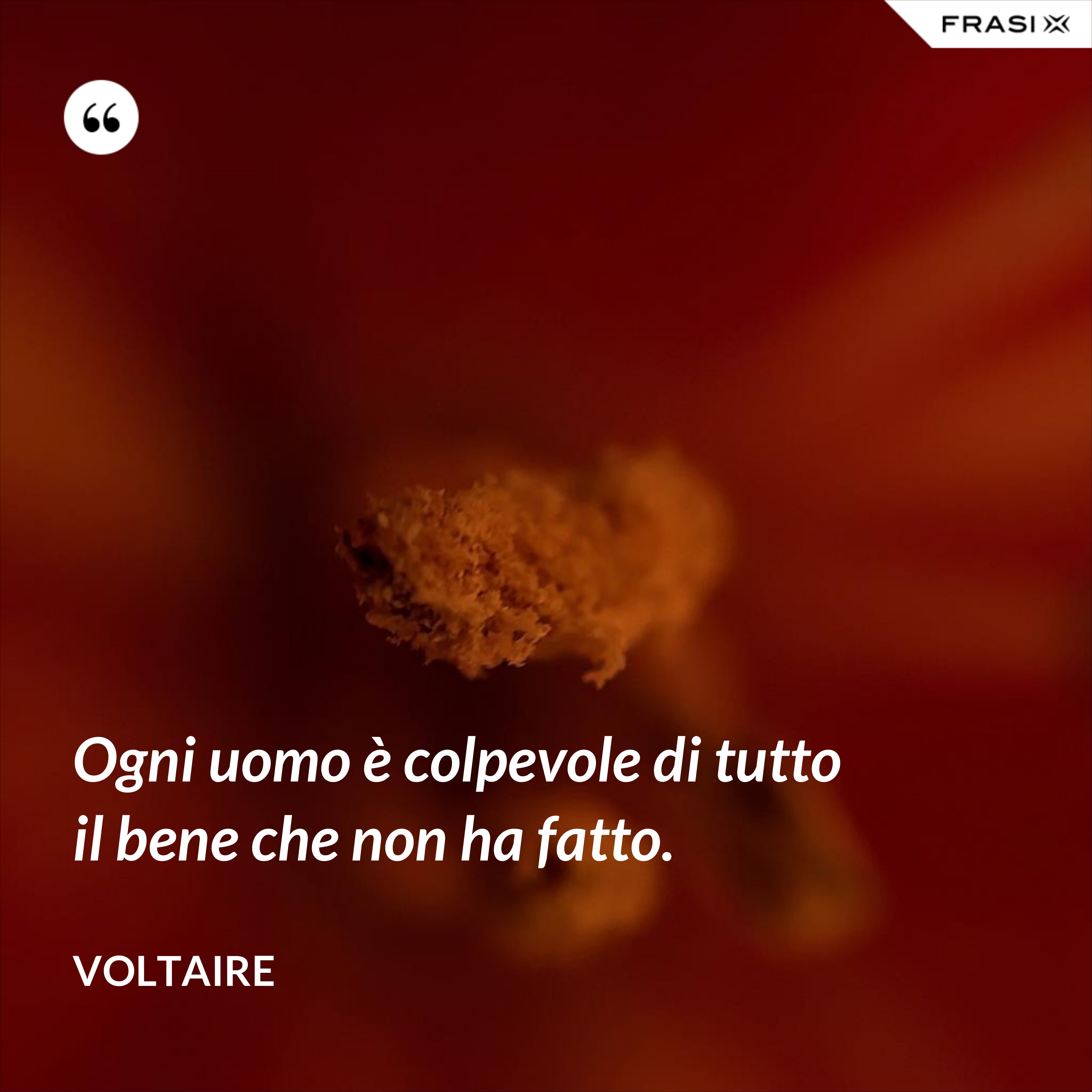 Ogni uomo è colpevole di tutto il bene che non ha fatto. - Voltaire