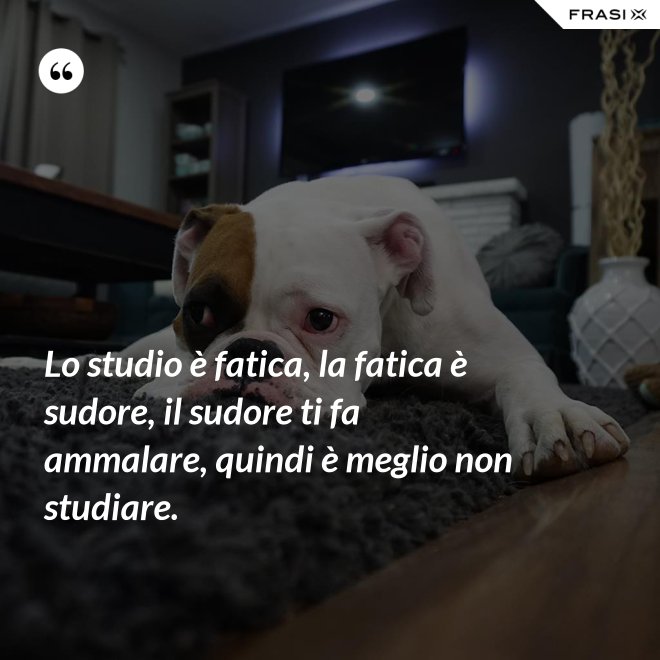 Lo studio è fatica, la fatica è sudore, il sudore ti fa ammalare, quindi è meglio non studiare. - Anonimo