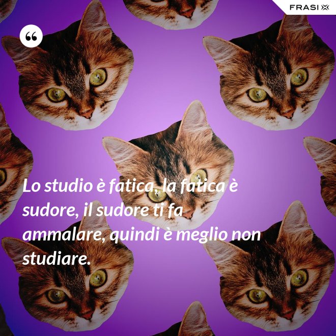 Lo studio è fatica, la fatica è sudore, il sudore ti fa ammalare, quindi è meglio non studiare. - Anonimo