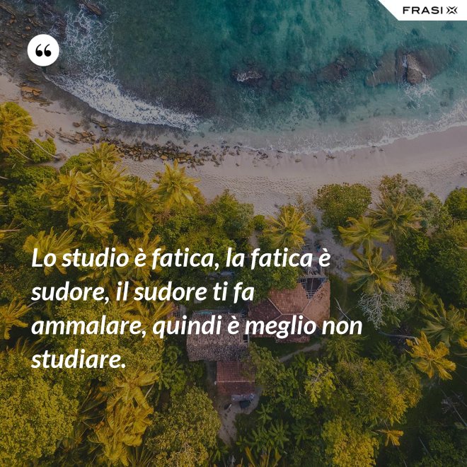 Lo studio è fatica, la fatica è sudore, il sudore ti fa ammalare, quindi è meglio non studiare. - Anonimo
