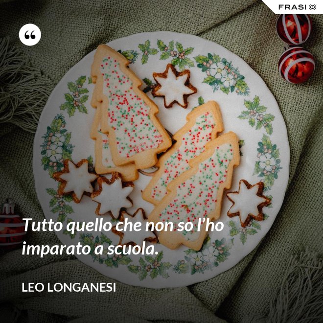 Tutto quello che non so l’ho imparato a scuola. - Leo Longanesi
