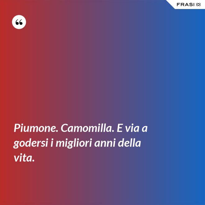Piumone. Camomilla. E via a godersi i migliori anni della vita. - Anonimo