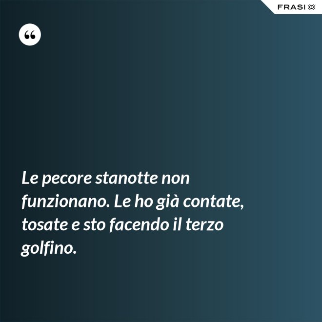 Le pecore stanotte non funzionano. Le ho già contate, tosate e sto facendo il terzo golfino. - Anonimo