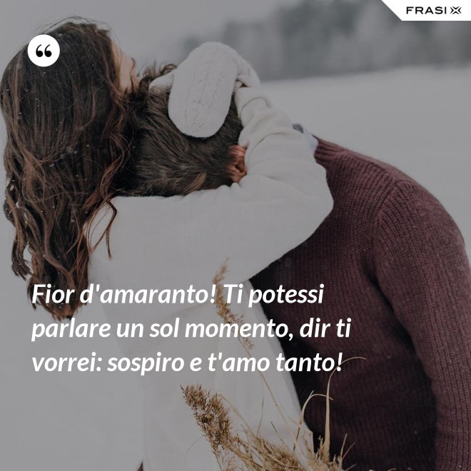 Fior d'amaranto! Ti potessi parlare un sol momento, dir ti vorrei: sospiro e t'amo tanto! - Anonimo