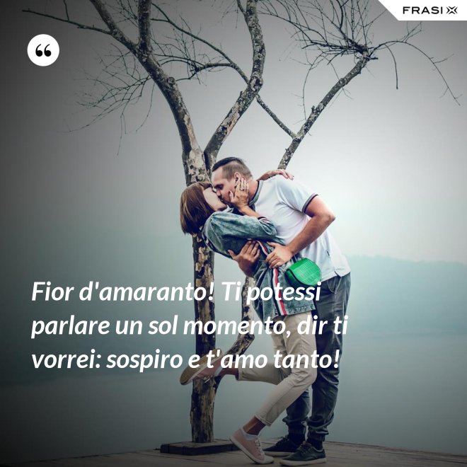 Fior d'amaranto! Ti potessi parlare un sol momento, dir ti vorrei: sospiro e t'amo tanto! - Anonimo