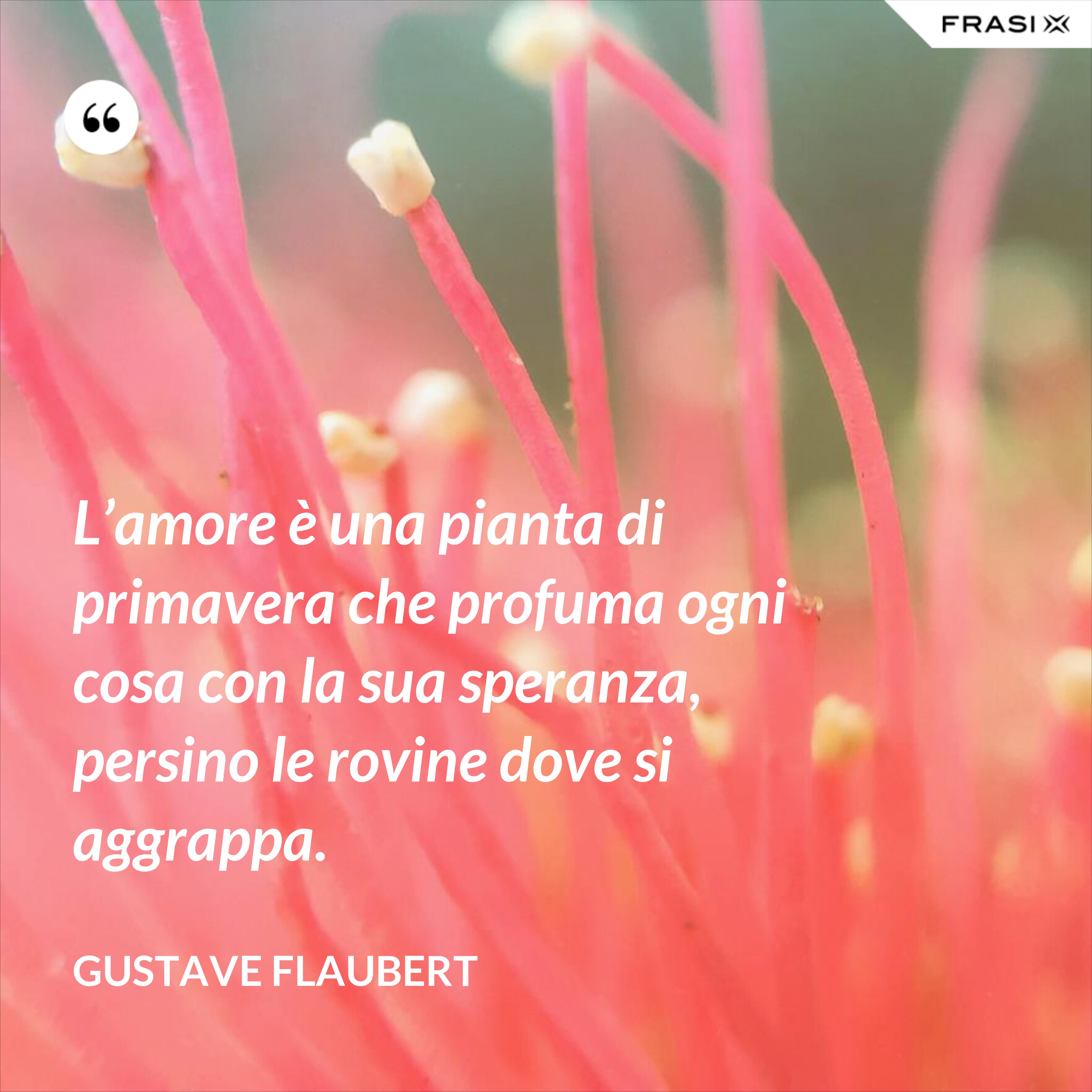 L’amore è una pianta di primavera che profuma ogni cosa con la sua speranza, persino le rovine dove si aggrappa. - Gustave Flaubert