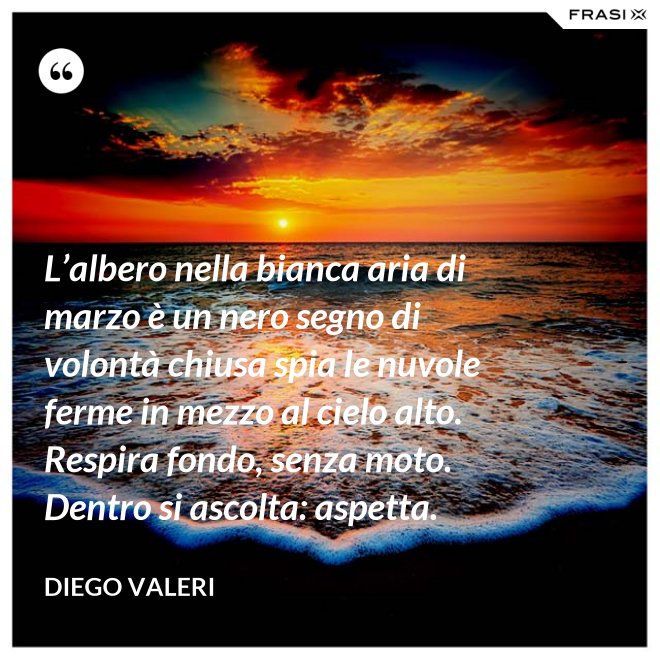 L’albero nella bianca aria di marzo è un nero segno di volontà chiusa spia le nuvole ferme in mezzo al cielo alto. Respira fondo, senza moto. Dentro si ascolta: aspetta. - Diego Valeri