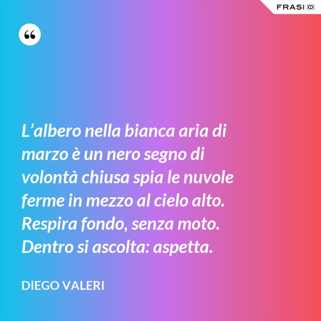 L’albero nella bianca aria di marzo è un nero segno di volontà chiusa spia le nuvole ferme in mezzo al cielo alto. Respira fondo, senza moto. Dentro si ascolta: aspetta. - Diego Valeri