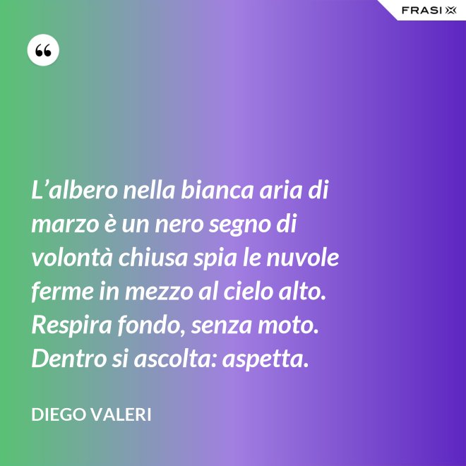 L’albero nella bianca aria di marzo è un nero segno di volontà chiusa spia le nuvole ferme in mezzo al cielo alto. Respira fondo, senza moto. Dentro si ascolta: aspetta. - Diego Valeri