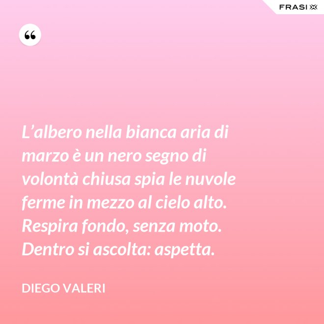L’albero nella bianca aria di marzo è un nero segno di volontà chiusa spia le nuvole ferme in mezzo al cielo alto. Respira fondo, senza moto. Dentro si ascolta: aspetta. - Diego Valeri