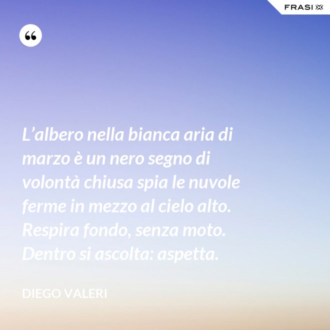 L’albero nella bianca aria di marzo è un nero segno di volontà chiusa spia le nuvole ferme in mezzo al cielo alto. Respira fondo, senza moto. Dentro si ascolta: aspetta. - Diego Valeri