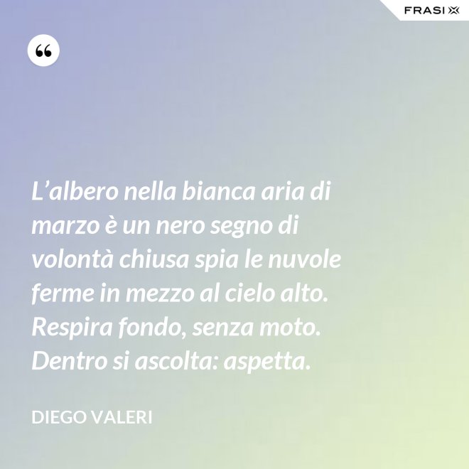 L’albero nella bianca aria di marzo è un nero segno di volontà chiusa spia le nuvole ferme in mezzo al cielo alto. Respira fondo, senza moto. Dentro si ascolta: aspetta. - Diego Valeri