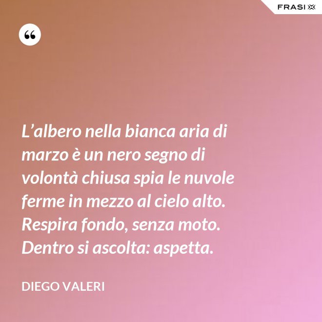 L’albero nella bianca aria di marzo è un nero segno di volontà chiusa spia le nuvole ferme in mezzo al cielo alto. Respira fondo, senza moto. Dentro si ascolta: aspetta. - Diego Valeri