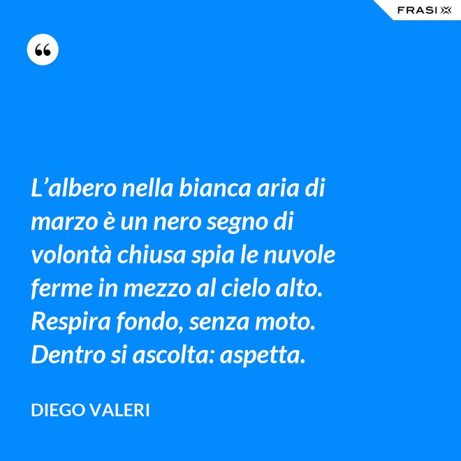 L’albero nella bianca aria di marzo è un nero segno di volontà chiusa spia le nuvole ferme in mezzo al cielo alto. Respira fondo, senza moto. Dentro si ascolta: aspetta. - Diego Valeri