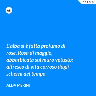 L’alba si è fatta profumo di rose. Rosa di maggio, abbarbicata sul muro vetusto; affresco di vita corroso dagli scherni del tempo. - Alda Merini