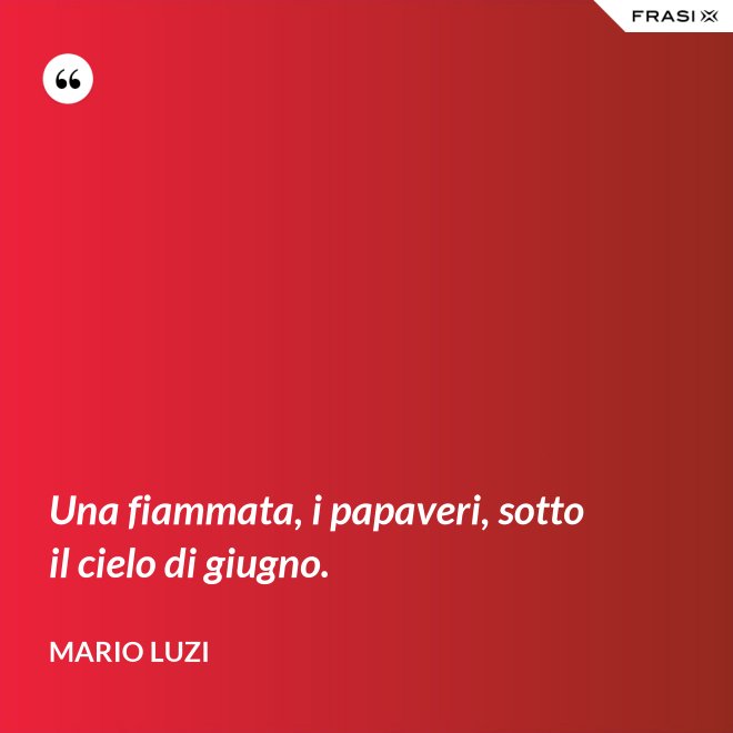 Una fiammata, i papaveri, sotto il cielo di giugno. - Mario Luzi