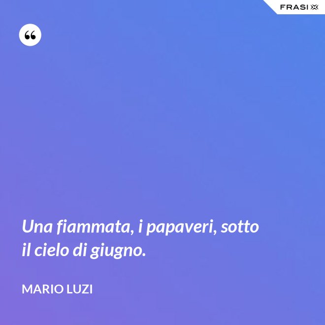 Una fiammata, i papaveri, sotto il cielo di giugno. - Mario Luzi