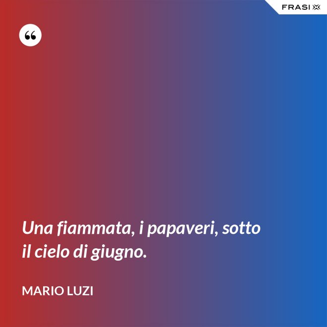 Una fiammata, i papaveri, sotto il cielo di giugno. - Mario Luzi