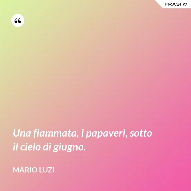 Una fiammata, i papaveri, sotto il cielo di giugno. - Mario Luzi