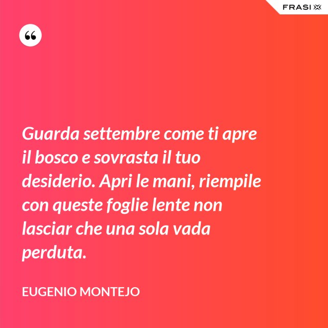 Guarda settembre come ti apre il bosco e sovrasta il tuo desiderio. Apri le mani, riempile con queste foglie lente non lasciar che una sola vada perduta. - Eugenio Montejo