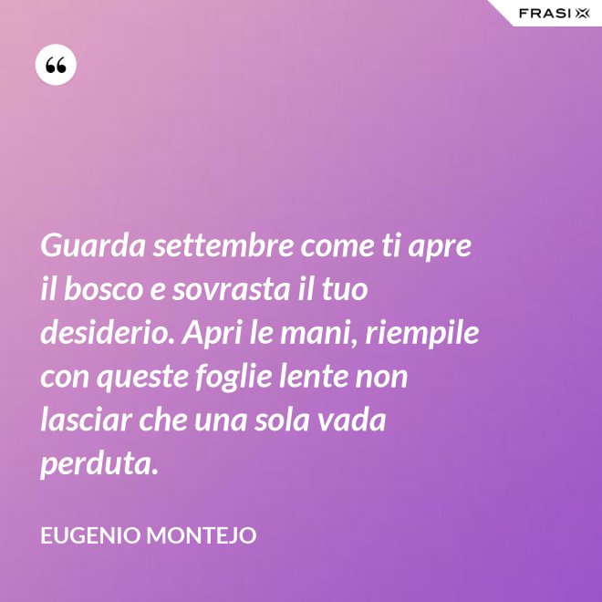 Guarda settembre come ti apre il bosco e sovrasta il tuo desiderio. Apri le mani, riempile con queste foglie lente non lasciar che una sola vada perduta. - Eugenio Montejo
