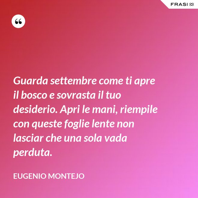 Guarda settembre come ti apre il bosco e sovrasta il tuo desiderio. Apri le mani, riempile con queste foglie lente non lasciar che una sola vada perduta. - Eugenio Montejo
