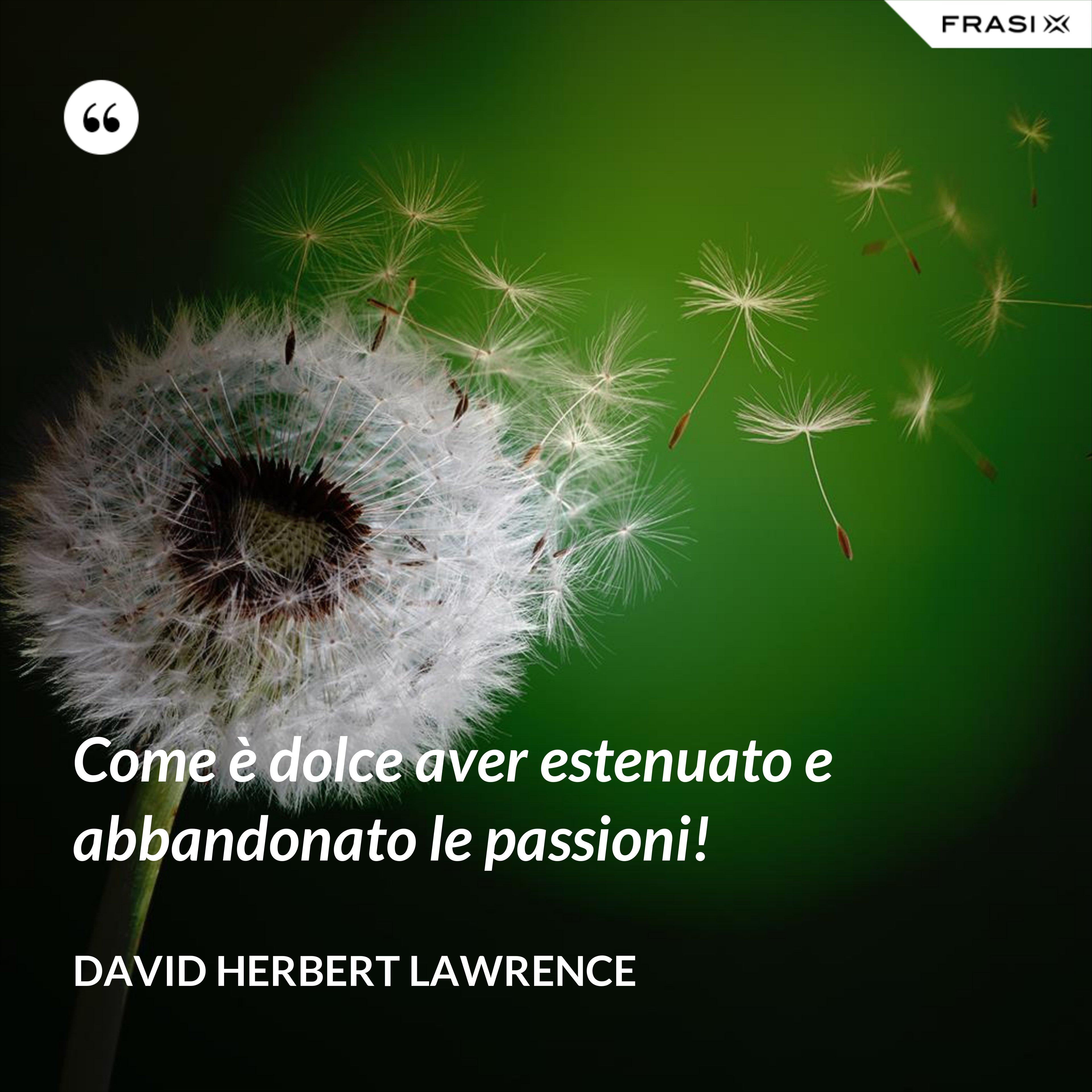 Come è dolce aver estenuato e abbandonato le passioni! - David Herbert Lawrence
