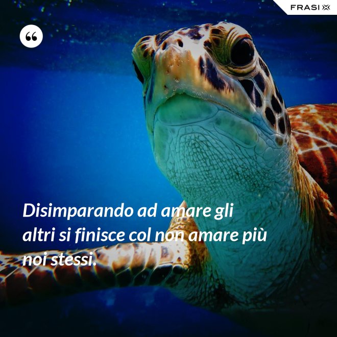 Disimparando ad amare gli altri si finisce col non amare più noi stessi. - Anonimo