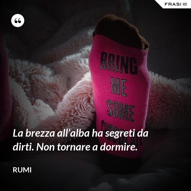 La brezza all’alba ha segreti da dirti. Non tornare a dormire. - Rumi