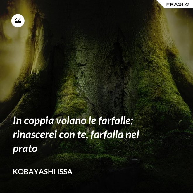 In coppia volano le farfalle; rinascerei con te, farfalla nel prato - Kobayashi Issa