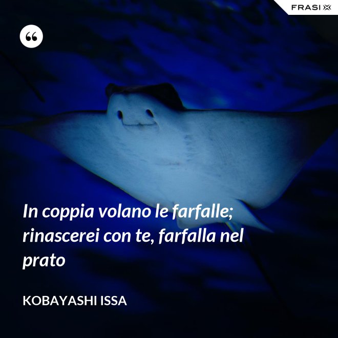 In coppia volano le farfalle; rinascerei con te, farfalla nel prato - Kobayashi Issa
