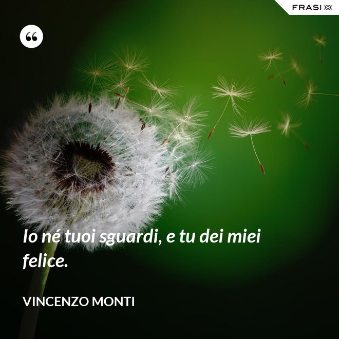 Io né tuoi sguardi, e tu dei miei felice. - Vincenzo Monti