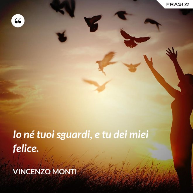 Io né tuoi sguardi, e tu dei miei felice. - Vincenzo Monti