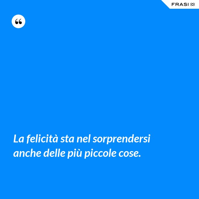 La felicità sta nel sorprendersi anche delle più piccole cose. - Anonimo
