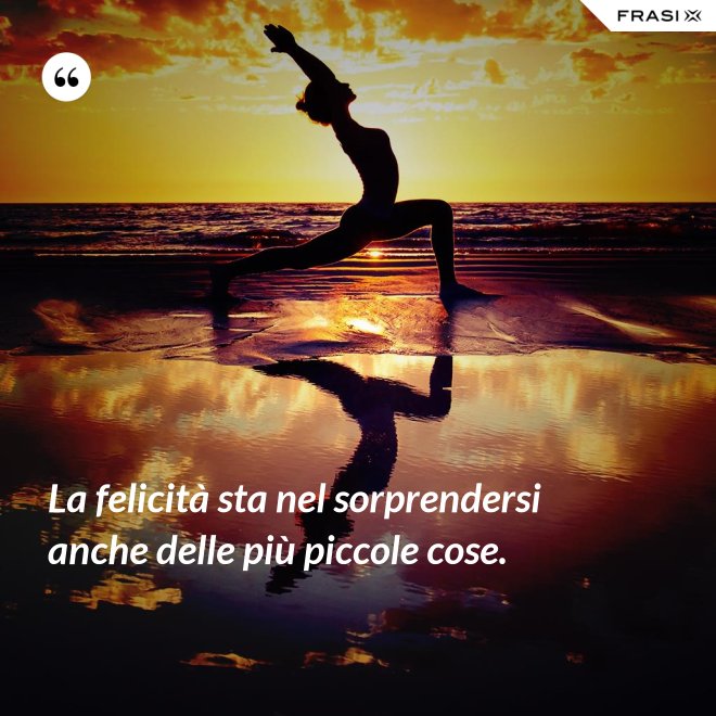 La felicità sta nel sorprendersi anche delle più piccole cose. - Anonimo