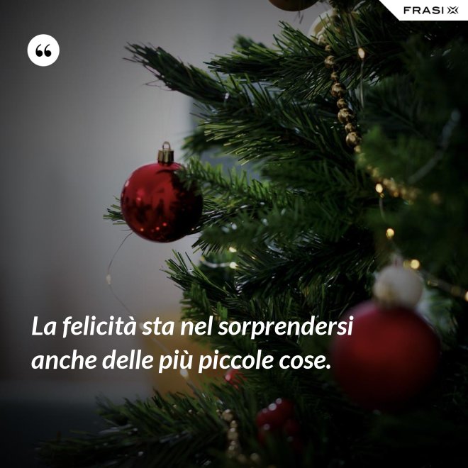 La felicità sta nel sorprendersi anche delle più piccole cose. - Anonimo