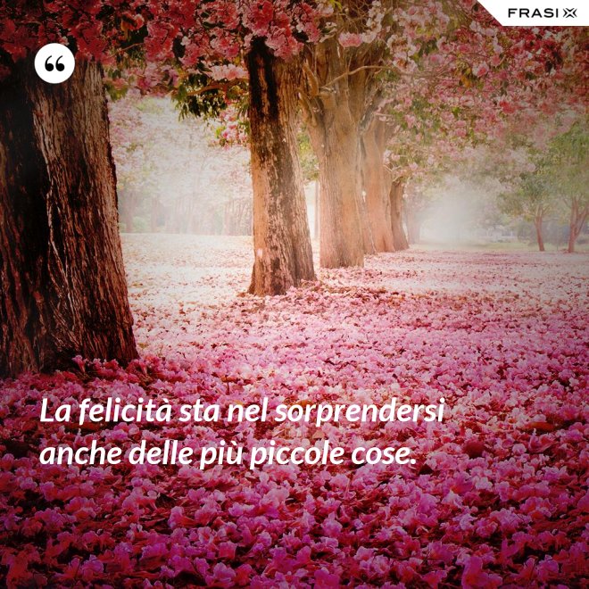 La felicità sta nel sorprendersi anche delle più piccole cose. - Anonimo