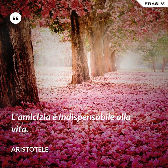 L'amicizia è indispensabile alla vita. - Aristotele