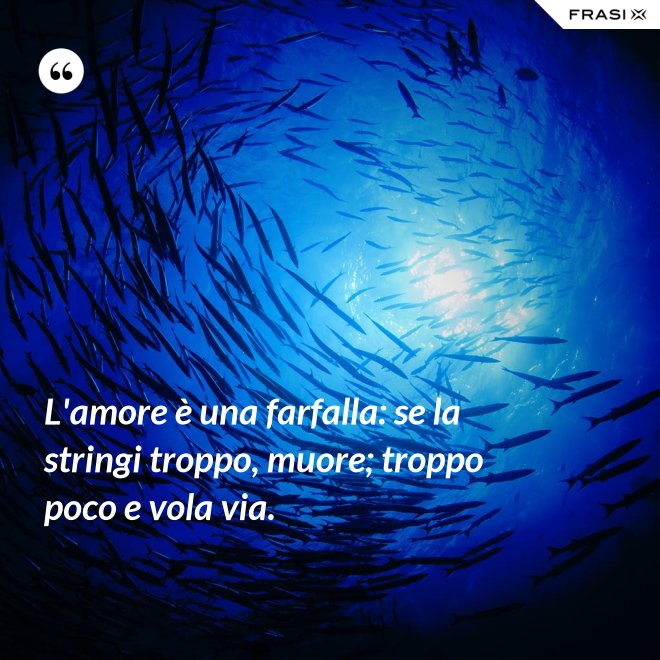 L'amore è una farfalla: se la stringi troppo, muore; troppo poco e vola via. - Anonimo