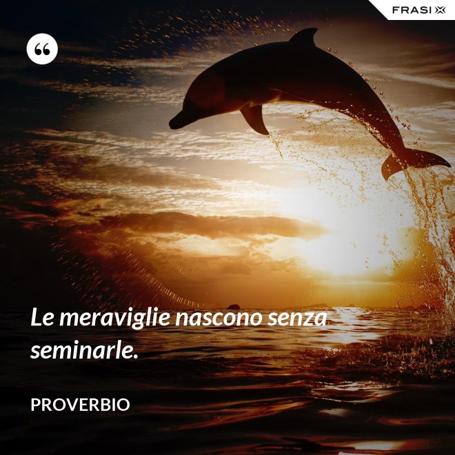 Le meraviglie nascono senza seminarle. - Proverbio
