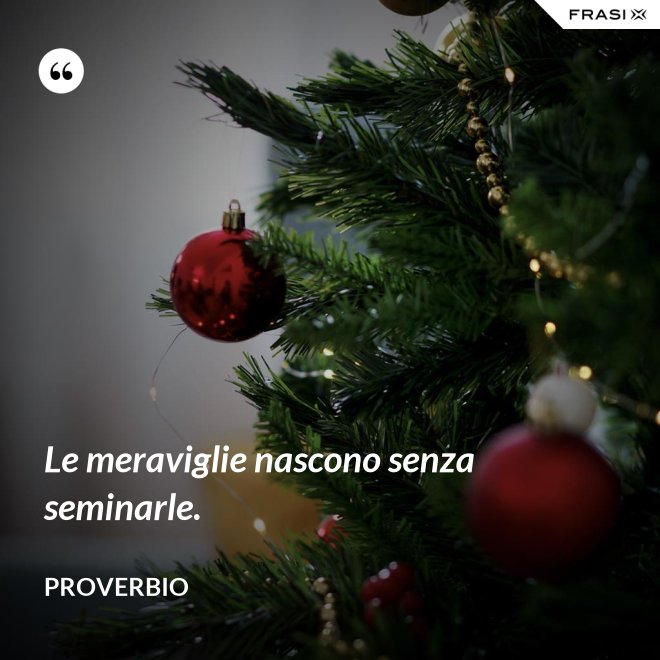 Le meraviglie nascono senza seminarle. - Proverbio
