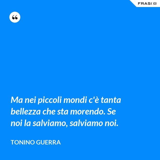 Ma nei piccoli mondi c'è tanta bellezza che sta morendo. Se noi la salviamo, salviamo noi. - Tonino Guerra