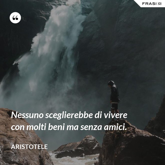 Nessuno sceglierebbe di vivere con molti beni ma senza amici. - Aristotele
