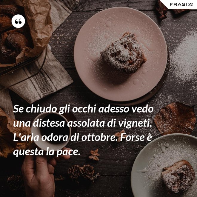Se chiudo gli occhi adesso vedo una distesa assolata di vigneti. L'aria odora di ottobre. Forse è questa la pace. - Anonimo