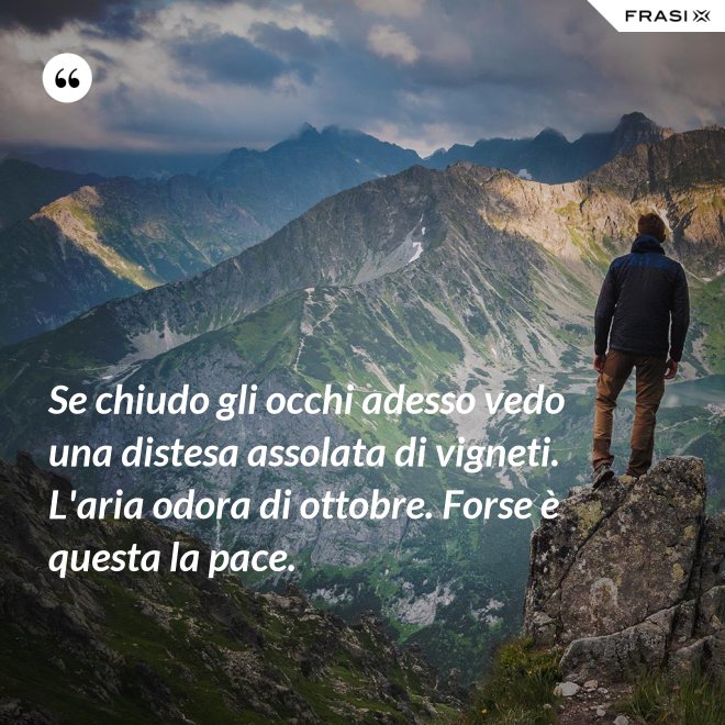 Se chiudo gli occhi adesso vedo una distesa assolata di vigneti. L'aria odora di ottobre. Forse è questa la pace. - Anonimo