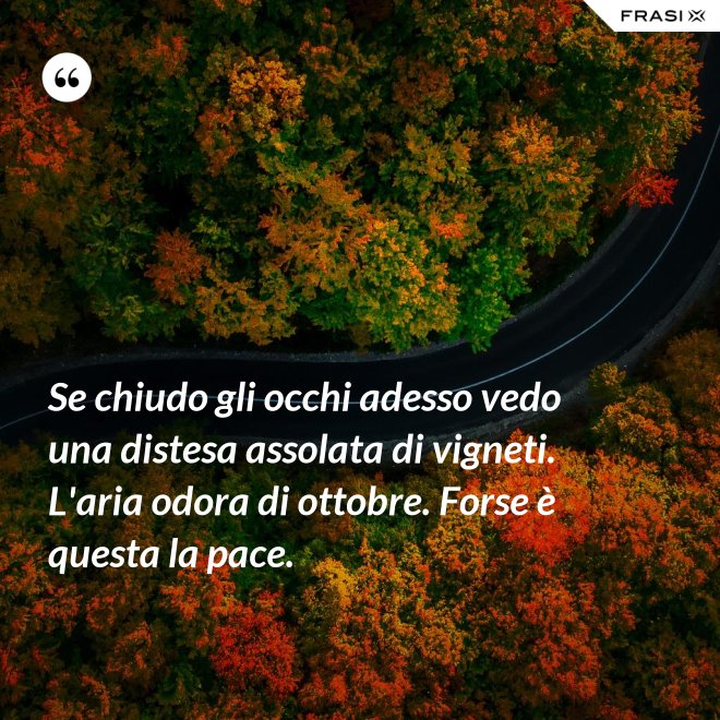 Se chiudo gli occhi adesso vedo una distesa assolata di vigneti. L'aria odora di ottobre. Forse è questa la pace. - Anonimo