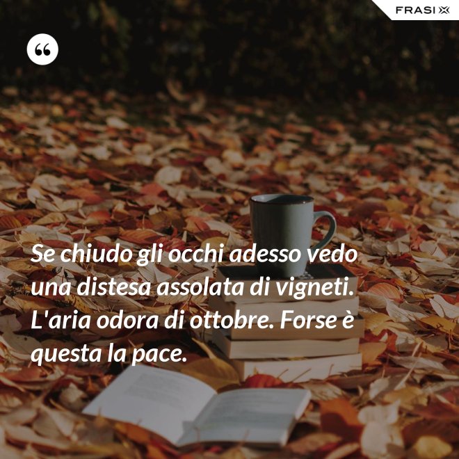 Se chiudo gli occhi adesso vedo una distesa assolata di vigneti. L'aria odora di ottobre. Forse è questa la pace. - Anonimo